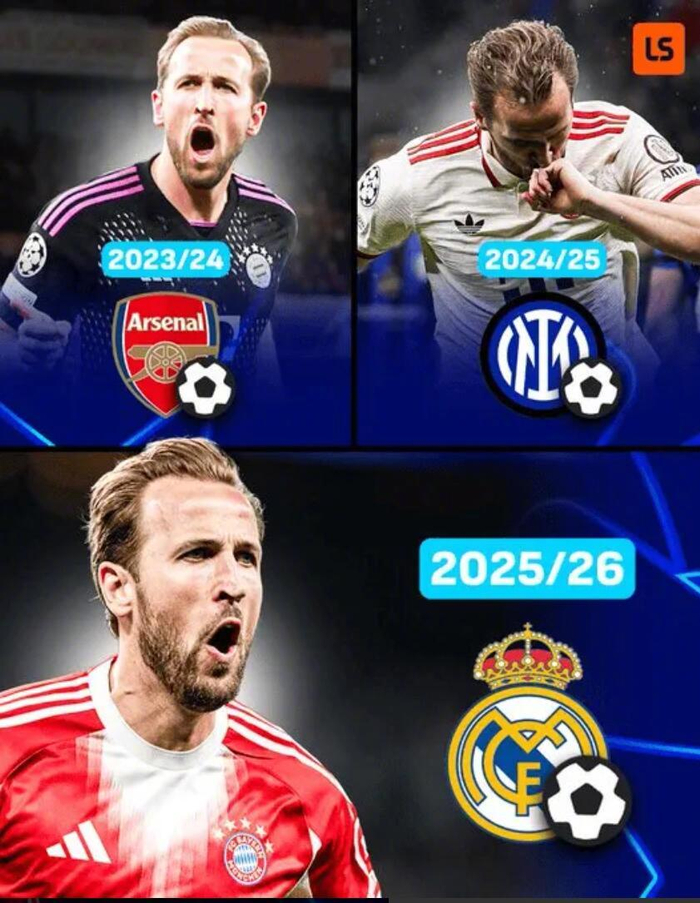 开云线上入口-凯恩连续3赛季欧冠客场1/4决赛破门，伯纳乌再斩皇马|哈里·凯恩|拜仁慕尼黑|阿森纳|皇家马德里|哈里凯恩_新浪体育_新浪新闻